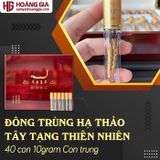 Đông trùng hạ thảo Tây Tạng thiên nhiên 40 con 10gr Con trung