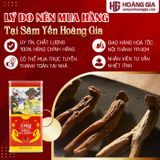 Sâm Khô Hàn Quốc Hộp Thiếc Deadong 37.5g