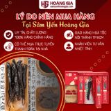 Hồng Sâm Củ Tẩm Mật Ong Hàn Quốc KGS hộp 300g có 6 củ lớn