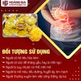 Nấm linh chi thượng hoàng Hàn Quốc khay 500g