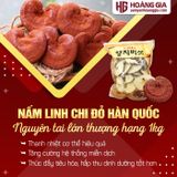 Nấm linh chi bào tử Hàn Quốc nguyên tai thượng hạng 1kg