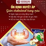 Nấm linh chi vàng Hàn Quốc túi 1kg