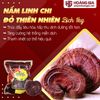 Nấm linh chi đỏ thiên nhiên Hàn Quốc bịch 1kg