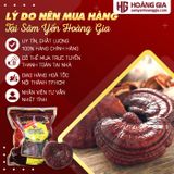 Nấm linh chi đỏ thiên nhiên Hàn Quốc bịch 1kg