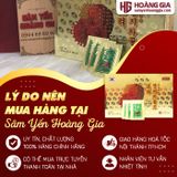 Trà Linh Chi Hàn Quốc 100 gói