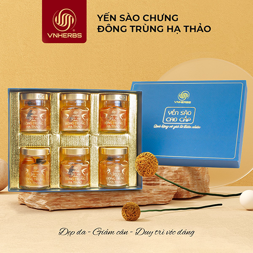 Yến sào đông trùng hạ thảo chưng sẵn