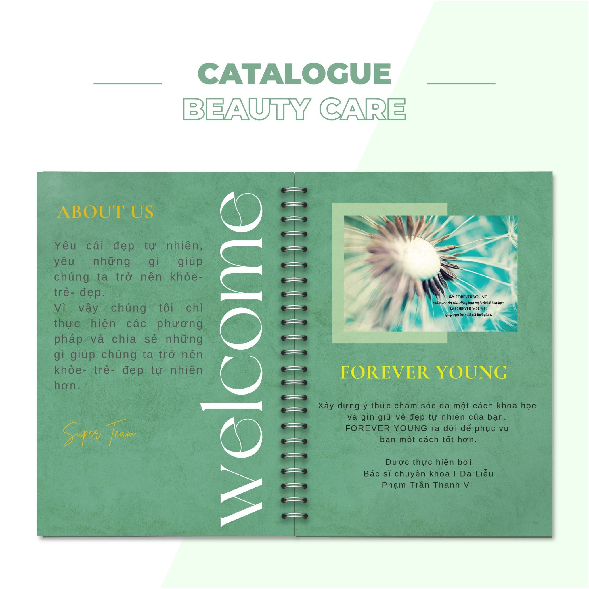  Catalogue, Profile 