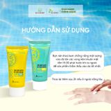  Kem Chống Nắng Xanh Làm Dịu & Cấp Ẩm - 365 Daily Care Blue Sun Cream SPF 50+/PA+++ ECOSY KCNX70 - 70ML 