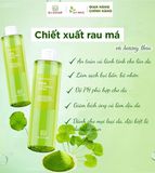  Nước Tẩy Trang Chiết Xuất Rau Má - Daily CiCa Cleansing Water ECOTOP NHHRX300 – 300ml 