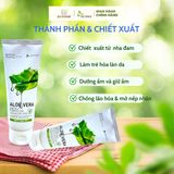  Gel Tẩy Tế Bào Chết Body Chiết Xuất Nha Đam  – Aloe Vera Perfect Peeling Gel ECOSY TTBNĐ180 - 180ML 