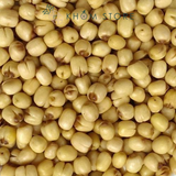 HÀNG SỈ HẠT SEN SẤY