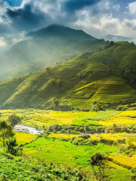 eSim Vietnam