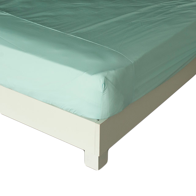  Combo Premium Cotton xanh mint 