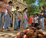 THAM DỰ WORKSHOP CHOCOLATE – BẢO TÀNG ÂM THANH ĐẮK NÔNG