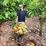 Bột caccao natural Enjoy farm