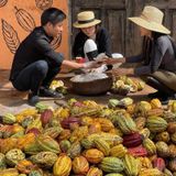 Bột caccao natural Enjoy farm