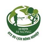 Hạt macca Đắk Nông Tự nhiên (hộp trắng xanh)