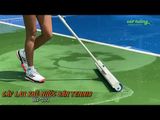 Cây lau khô nước sân Tennis