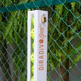Hộp bảo quản bóng pickleball (Combo 3 hộp)