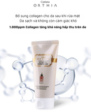  Sữa rửa mặt hoa hồng & vàng 24K COREANA ORTHIA PERFECT COLLAGEN 24K ROSE GOLD FOAMING CLEANSER 