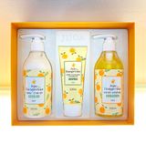  JEJU TANGERINE SWEET BODY SET OF 3- Bộ 3 sản phẩm chăm sóc cơ thể JEJU TANGERINE 