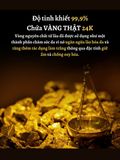 Tinh chất vàng dưỡng da chống lão hóa SHO Radiance 24K Gold Essence 100g