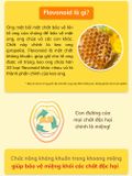 Keo ong dạng gói Koala Land Propolis Honey Stick, 12 góix10g, kháng khuẩn khoang miệng, chứa mật ong