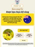 Xịt họng keo ong cho bé Koala Land Propolis Spray 30ml, kháng khuẩn khoang miệng, giảm ho, viêm họng