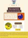 Keo ong dạng gói Koala Land Propolis Honey Stick, 12 góix10g, kháng khuẩn khoang miệng, chứa mật ong
