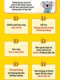 Xịt họng keo ong cho bé Koala Land Propolis Spray 30ml, kháng khuẩn khoang miệng, giảm ho, viêm họng