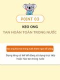 Keo ong dạng gói Koala Land Propolis Honey Stick, 12 góix10g, kháng khuẩn khoang miệng, chứa mật ong