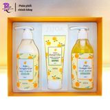 Bộ 3 sản phẩm chăm sóc BODY Hàn Quốc Jeju Tangerine Sweet Body, chiết xuất quýt làm sạch, tẩy tế bào chết, dưỡng ẩm