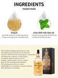 Tinh chất vàng dưỡng da chống lão hóa SHO Radiance 24K Gold Essence 100g