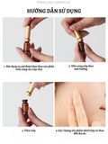 Tinh chất phục hồi trẻ hóa da, hạn chế nếp nhăn Rodin Sho Recovery Timeless Ampoule