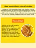 Xịt họng keo ong cho bé Koala Land Propolis Spray 30ml, kháng khuẩn khoang miệng, giảm ho, viêm họng
