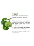 Mặt nạ rau má Hàn Quốc CENTELLIAN 24+ Madeca Derma Mask II dưỡng ẩm, nâng cơ, giảm nếp nhăn, sáng da