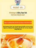 Xịt họng keo ong cho bé Koala Land Propolis Spray 30ml, kháng khuẩn khoang miệng, giảm ho, viêm họng