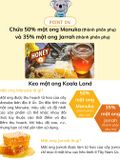 Keo ong dạng gói Koala Land Propolis Honey Stick, 12 góix10g, kháng khuẩn khoang miệng, chứa mật ong
