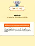 Xịt họng keo ong cho bé Koala Land Propolis Spray 30ml, kháng khuẩn khoang miệng, giảm ho, viêm họng