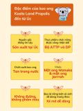 Keo ong dạng gói Koala Land Propolis Honey Stick, 12 góix10g, kháng khuẩn khoang miệng, chứa mật ong
