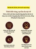 Tinh chất vàng dưỡng da chống lão hóa SHO Radiance 24K Gold Essence 100g