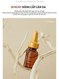 Tinh chất phục hồi trẻ hóa da, hạn chế nếp nhăn Rodin Sho Recovery Timeless Ampoule