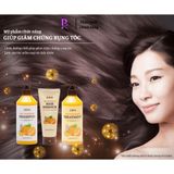 JEJU TANGERINE HAIR 3 SET – Bộ 3 sản phẩm dành cho tóc J1JOA Jeju Tangerine