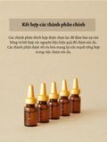 Tinh chất phục hồi trẻ hóa da, hạn chế nếp nhăn Rodin Sho Recovery Timeless Ampoule