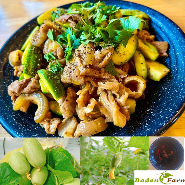 BÊ XÀO DƯA LƯỚI NON/CHUA (ĐẶC BIỆT)