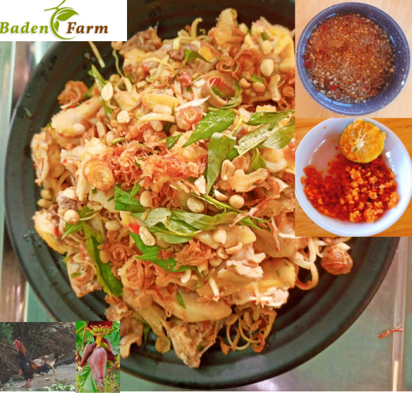 GÀ BÓP GỎI HOA CHUỐI (GÀ TA)