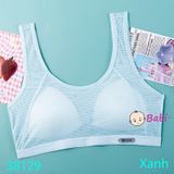 Áo Bra Cho Bé Lớn (30kg - 63kg)