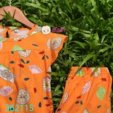 Bộ Tole (Lanh) Mẹ Bé Tay Cánh Tiên Quần Lửng (17kg - 65kg)