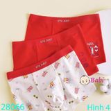 Hộp 3 Chip Đùi Nhiều Họa Tiết Cho Bé Trai (40-65kg)