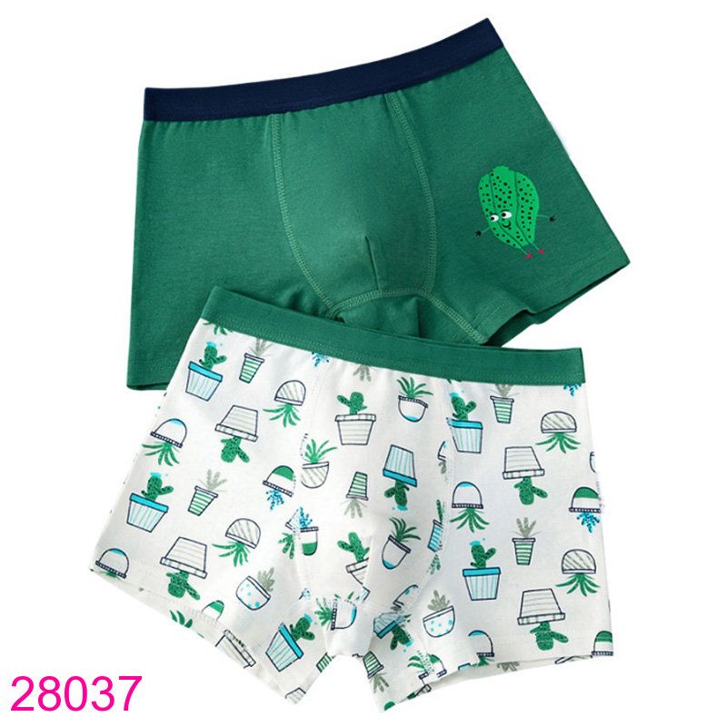  Set 2 Quần Chip Đùi Cotton Cho Bé Trai (6 - 10 tuổi) 